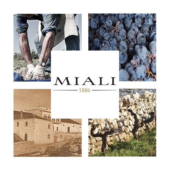 Cantine Miali logo