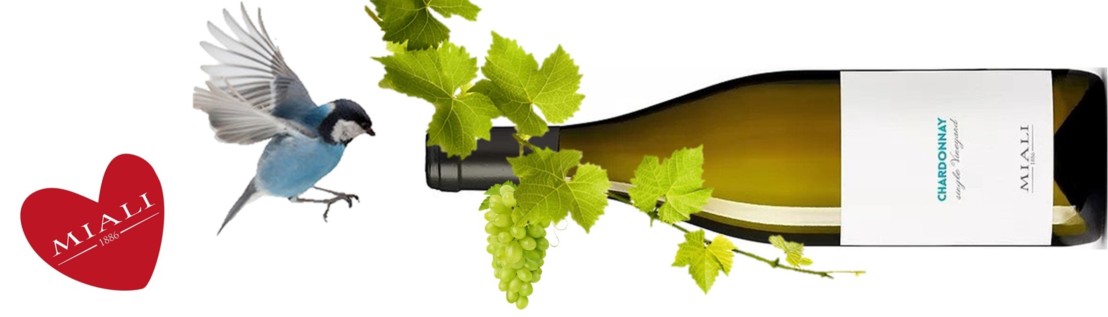 Chardonnay single vineyard MIALI banner