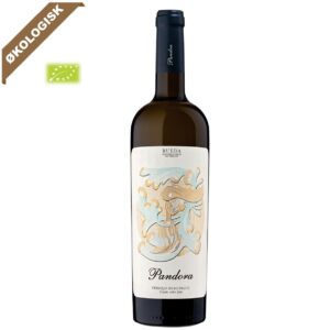 Bodegas Pandora Verdejo økologisk webshop billed