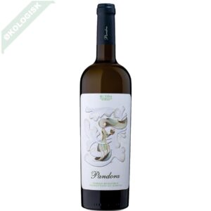 verdejo økologisj Bodegas Pandpra Rueda webshop billede