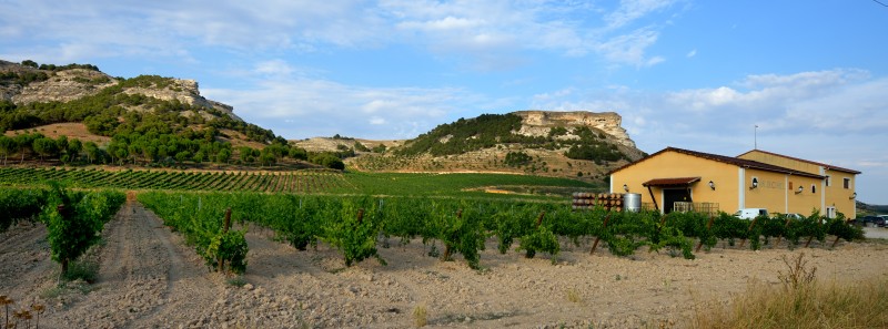 Bodegas Valcuriel