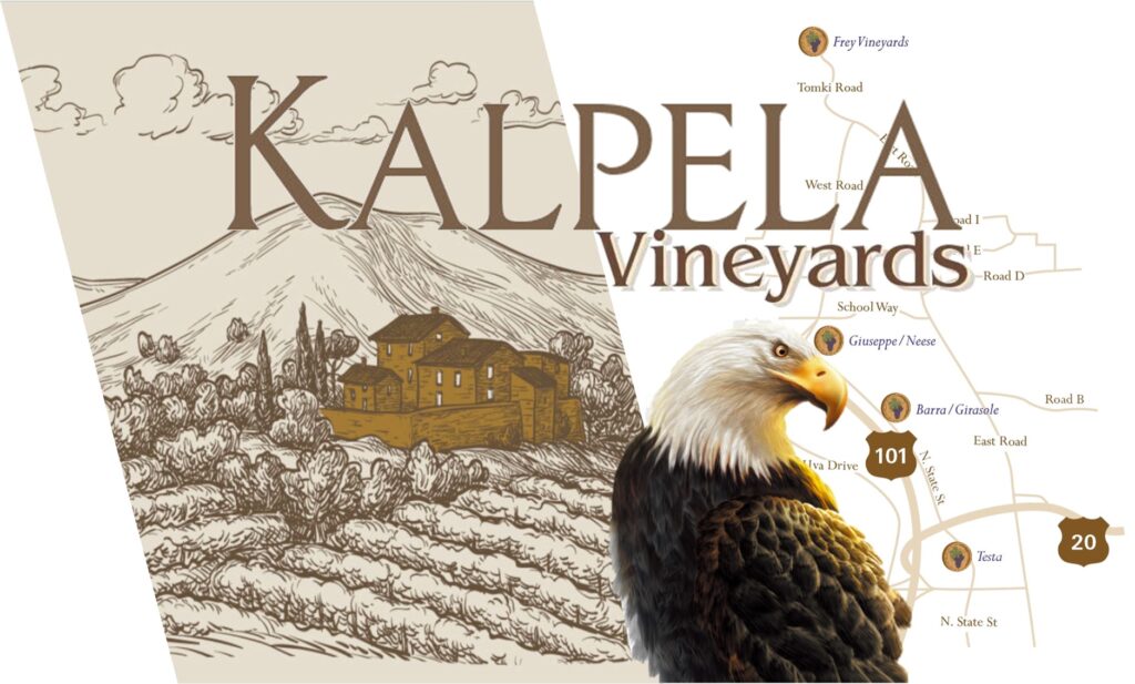 Kalpela Vinyards MEGA Banner 2